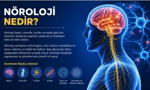 Nöroloji Nedir?