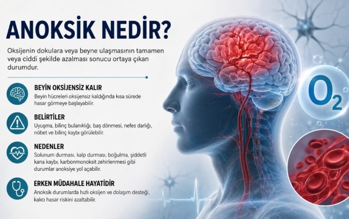 anoksik nedir